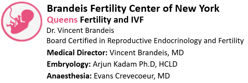 Egg Freezing_Brandeis Fertility Center